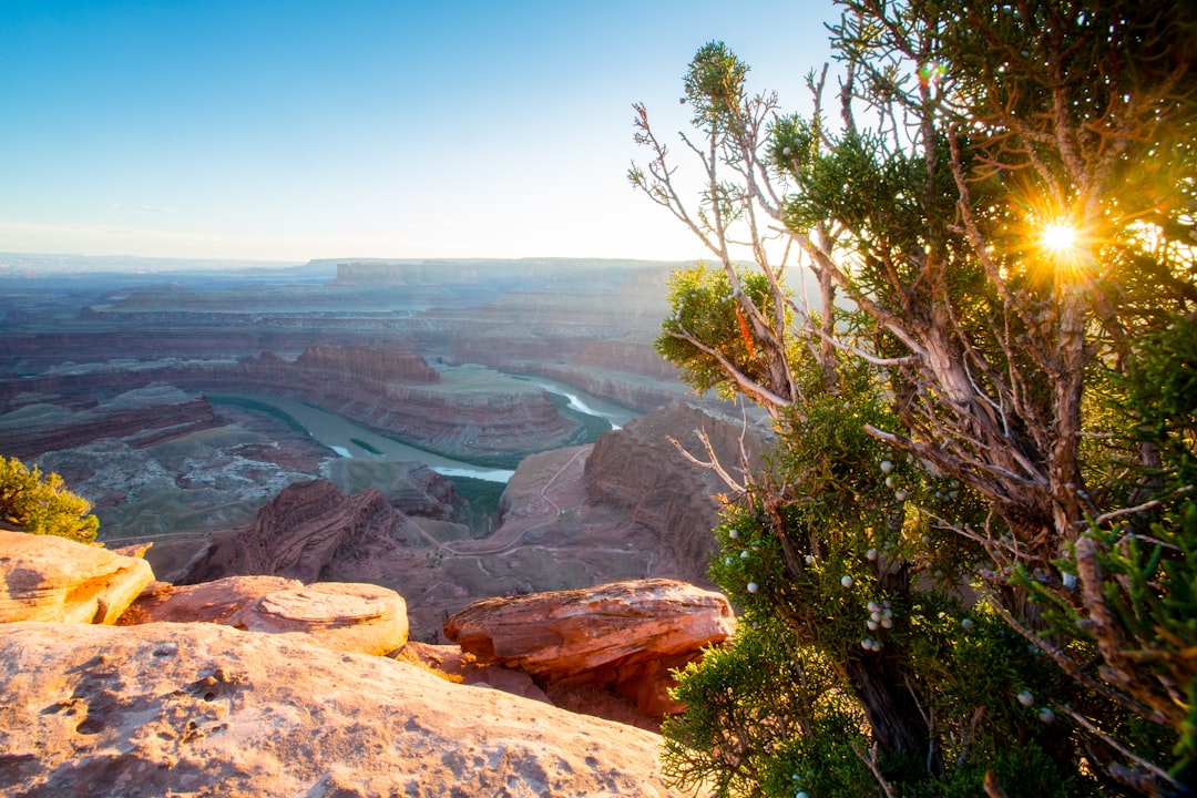 Exploring the Great Outdoors: A Guide to Budget-Friendly and Eco-Conscious Travel